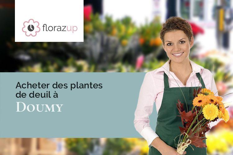 coeurs de fleurs pour une crémation à Doumy (Pyrénées-Atlantiques/64450)
