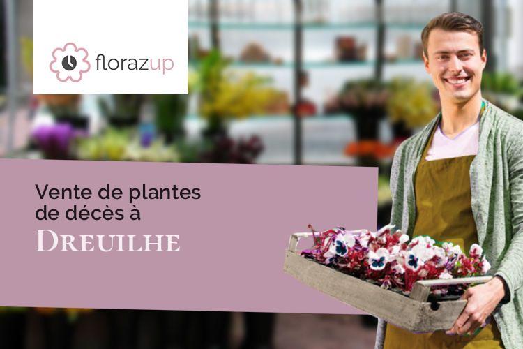 coupes de fleurs pour des obsèques à Dreuilhe (Ariège/09300)