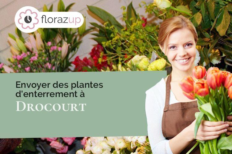 couronnes de fleurs pour une crémation à Drocourt (Pas-de-Calais/62320)