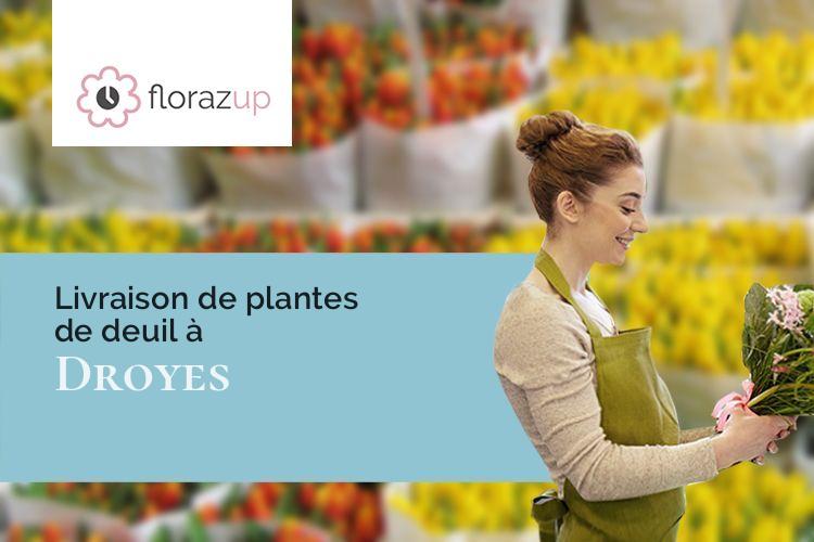 gerbes de fleurs pour des obsèques à Droyes (Haute-Marne/52220)