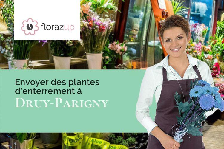 bouquets de fleurs pour une crémation à Druy-Parigny (Nièvre/58160)