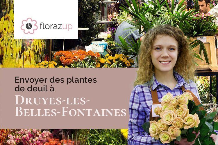 fleurs deuil pour une crémation à Druyes-les-Belles-Fontaines (Yonne/89560)