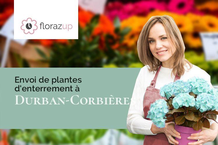 plantes pour une crémation à Durban-Corbières (Aude/11360)
