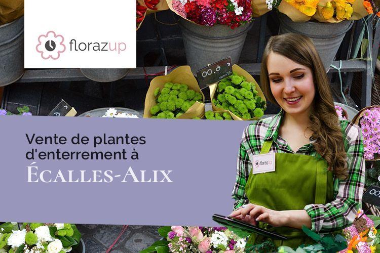coeurs de fleurs pour une crémation à Écalles-Alix (Seine-Maritime/76190)
