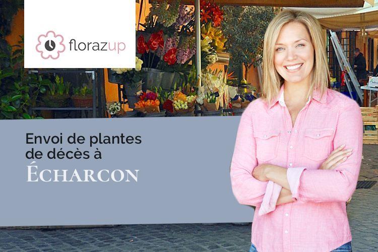 plantes pour un deuil à Écharcon (Essonne/91540)