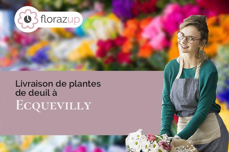 plantes pour un décès à Ecquevilly (Yvelines/78920)