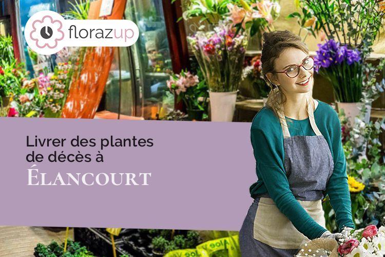 bouquets de fleurs pour des funérailles à Élancourt (Yvelines/78990)
