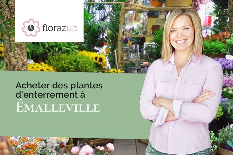 plantes pour un décès à Émalleville (Eure/27930)