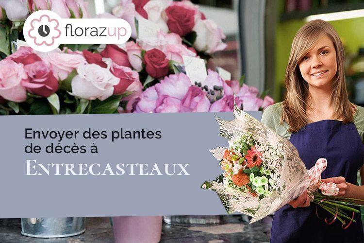 couronnes de fleurs pour un décès à Entrecasteaux (Var/83570)