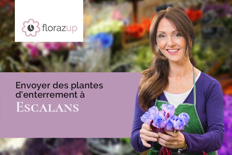 créations florales pour des obsèques à Escalans (Landes/40310)