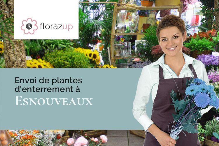 créations de fleurs pour un décès à Esnouveaux (Haute-Marne/52340)
