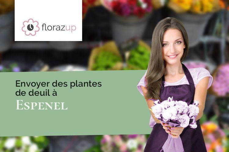 compositions de fleurs pour des funérailles à Espenel (Drôme/26340)