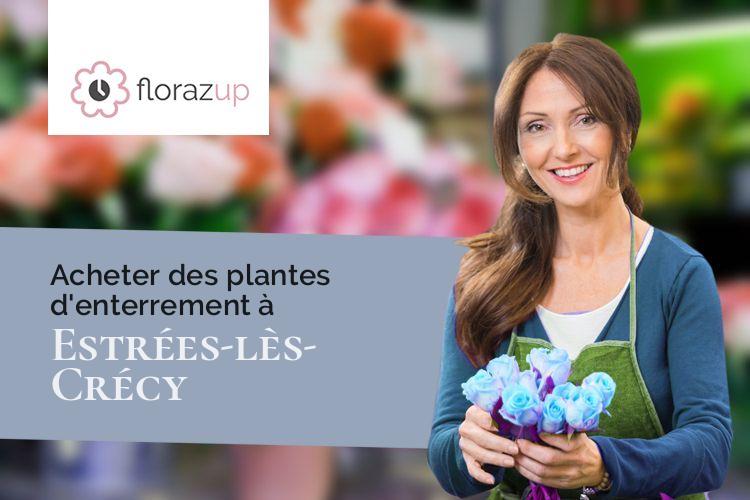 créations de fleurs pour un décès à Estrées-lès-Crécy (Somme/80150)