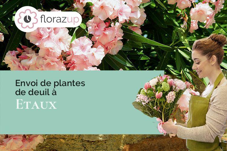plantes pour des funérailles à Etaux (Haute-Savoie/74800)