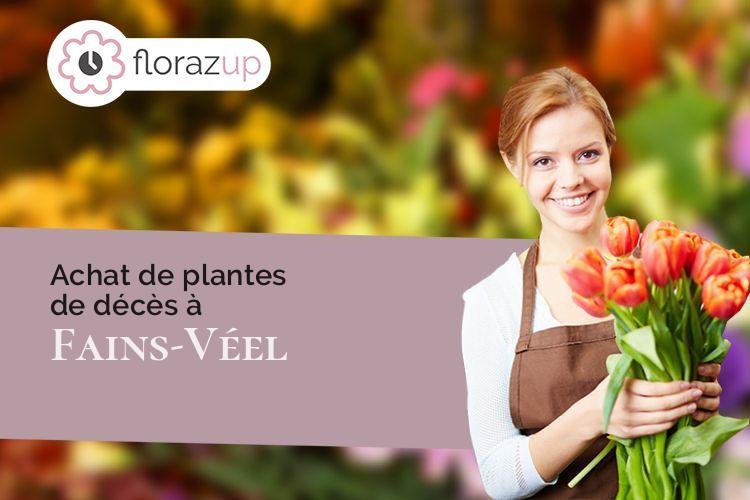 coeur de fleurs pour une crémation à Fains-Véel (Meuse/55000)