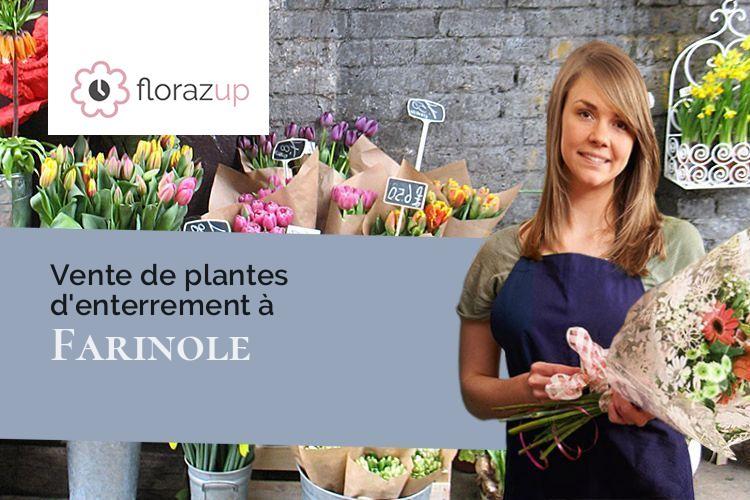 coeurs de fleurs pour des funérailles à Farinole (Corse/20253)