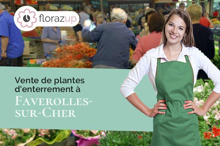 plantes pour des obsèques à Faverolles-sur-Cher (Loir-et-Cher/41400)