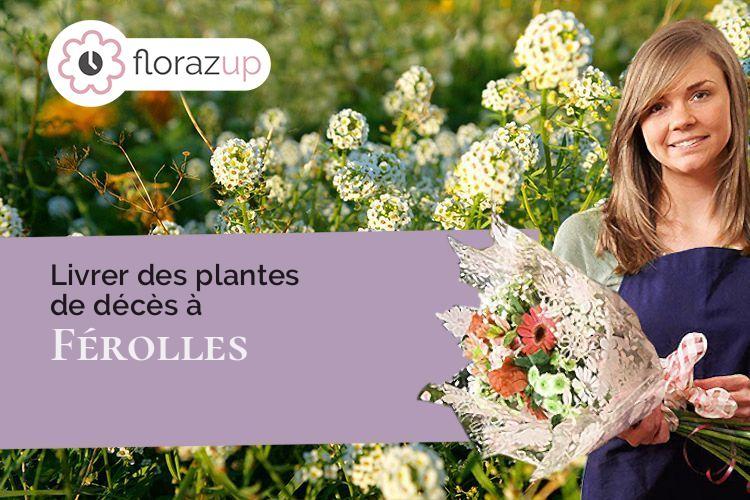 couronnes de fleurs pour un décès à Férolles (Loiret/45150)