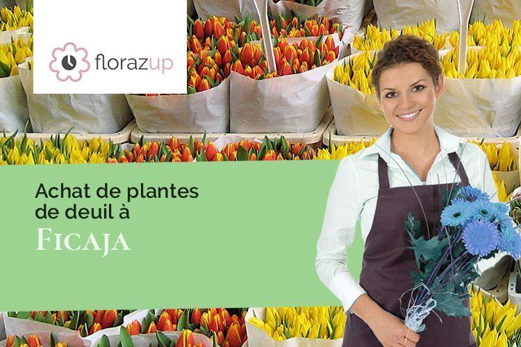 couronnes de fleurs pour une crémation à Ficaja (Corse/20237)