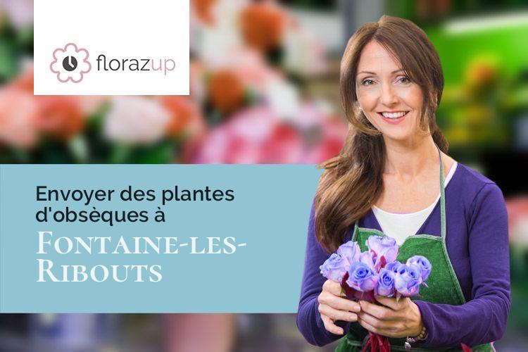 bouquets de fleurs pour un décès à Fontaine-les-Ribouts (Eure-et-Loir/28170)