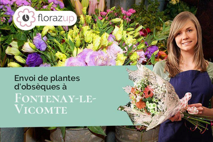 bouquets de fleurs pour un décès à Fontenay-le-Vicomte (Essonne/91540)