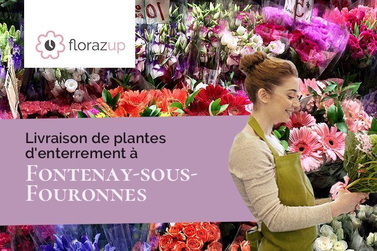 plantes pour des obsèques à Fontenay-sous-Fouronnes (Yonne/89660)