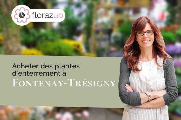 coeur de fleurs pour une crémation à Fontenay-Trésigny (Seine-et-Marne/77610)