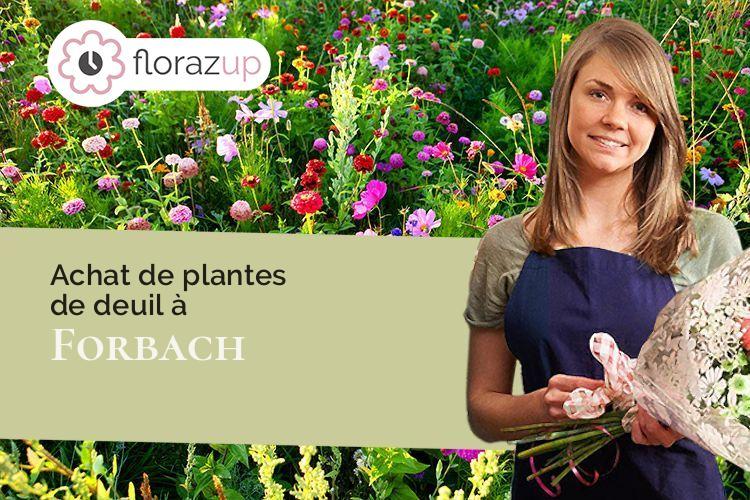 plantes pour un enterrement à Forbach (Moselle/57600)