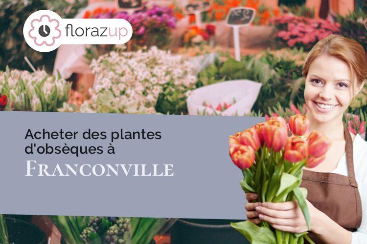 couronnes de fleurs pour un enterrement à Franconville (Val-d'Oise/95130)