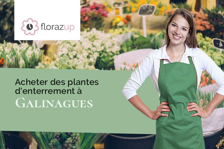 coeurs de fleurs pour des obsèques à Galinagues (Aude/11140)