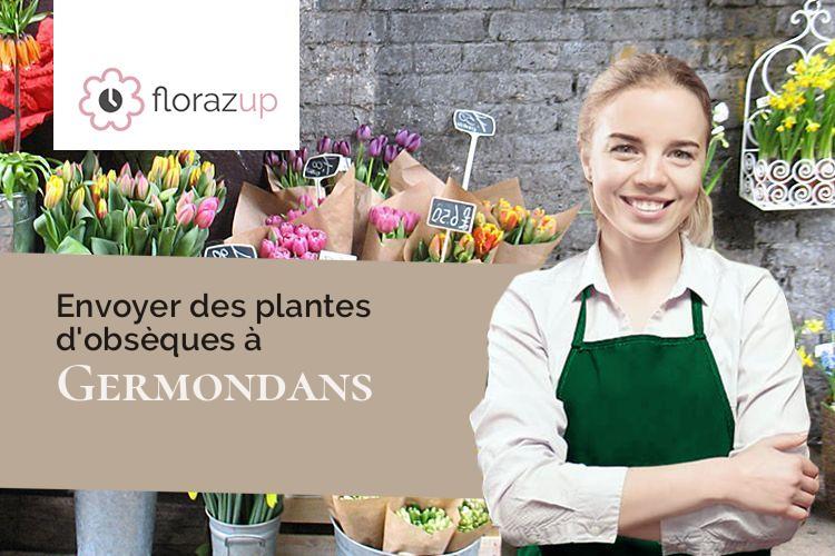 plantes pour un deuil à Germondans (Doubs/25640)