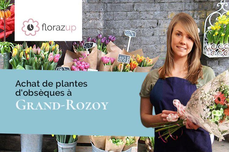 fleurs deuil pour un décès à Grand-Rozoy (Aisne/02210)
