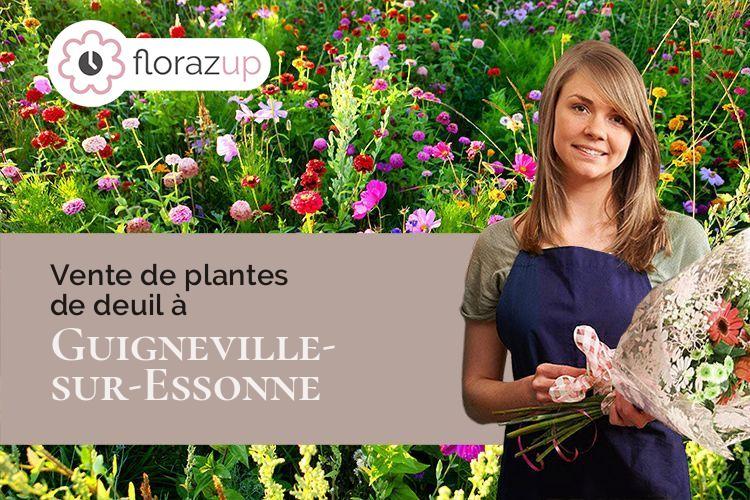 compositions florales pour un décès à Guigneville-sur-Essonne (Essonne/91590)