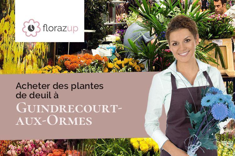 bouquets de fleurs pour des obsèques à Guindrecourt-aux-Ormes (Haute-Marne/52300)