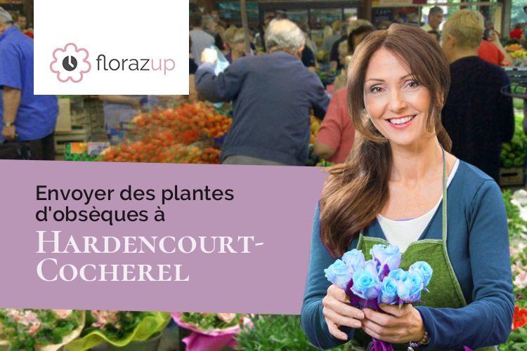plantes pour des obsèques à Hardencourt-Cocherel (Eure/27120)