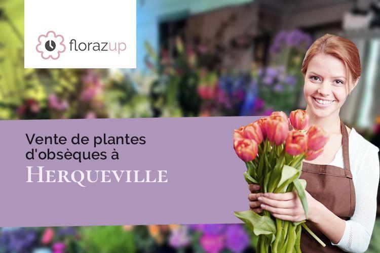 plantes pour une crémation à Herqueville (Eure/27430)