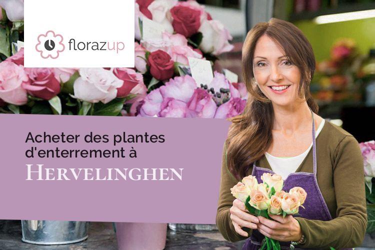 coeurs de fleurs pour une crémation à Hervelinghen (Pas-de-Calais/62179)