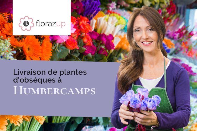 coupes de fleurs pour des obsèques à Humbercamps (Pas-de-Calais/62158)