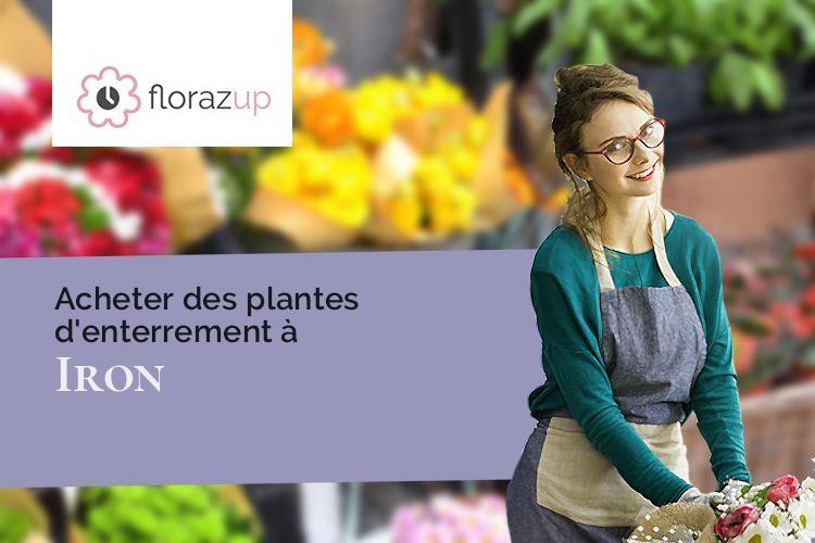 fleurs deuil pour un enterrement à Iron (Aisne/02510)