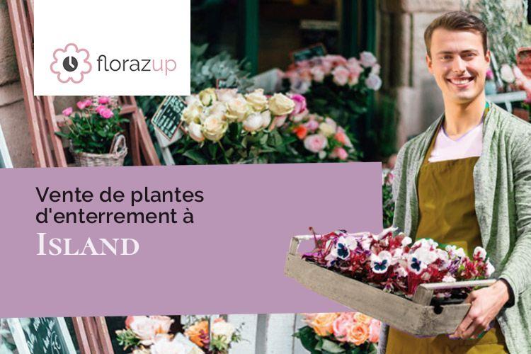 couronnes de fleurs pour un décès à Island (Yonne/89200)