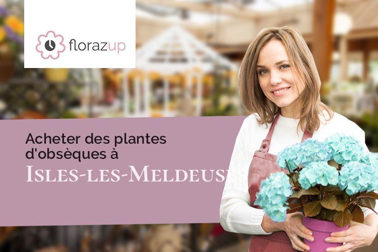 coeurs de fleurs pour des obsèques à Isles-les-Meldeuses (Seine-et-Marne/77440)