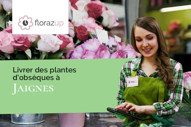 plantes pour un enterrement à Jaignes (Seine-et-Marne/77440)