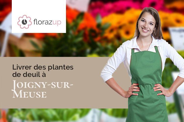 compositions de fleurs pour un décès à Joigny-sur-Meuse (Ardennes/08700)