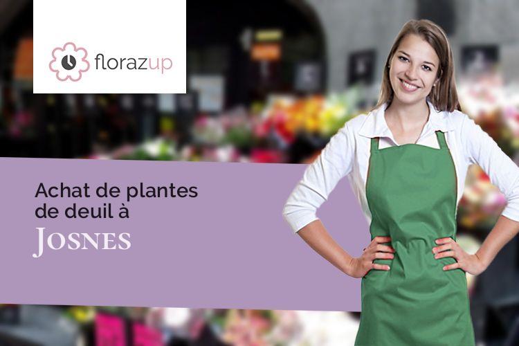 bouquets de fleurs pour un décès à Josnes (Loir-et-Cher/41370)