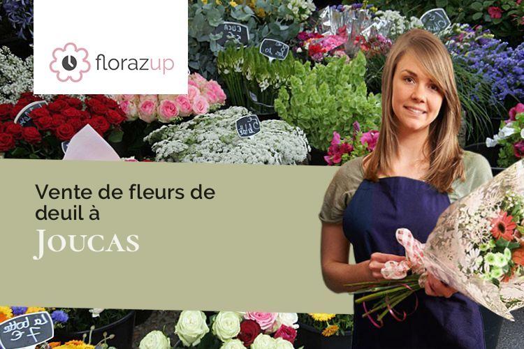 plantes pour un décès à Joucas (Vaucluse/84220)