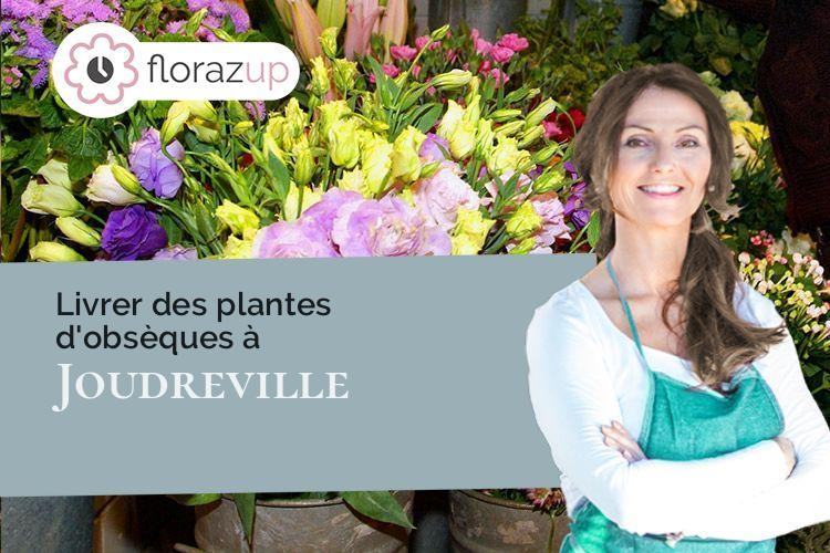 bouquets de fleurs pour un enterrement à Joudreville (Meurthe-et-Moselle/54490)
