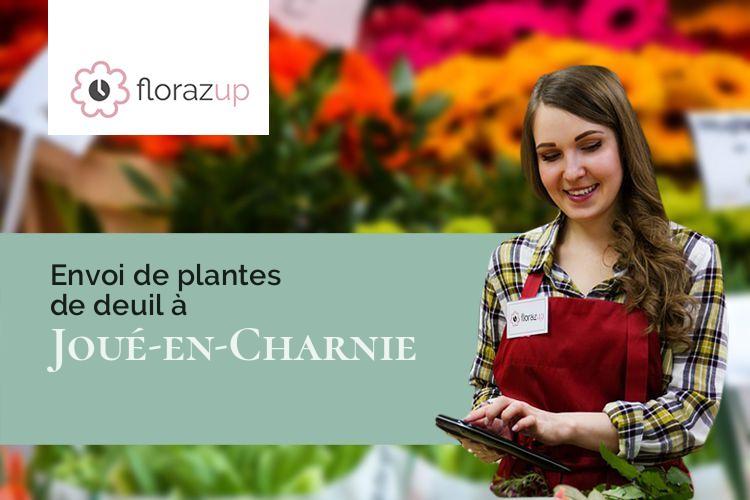 plantes pour des obsèques à Joué-en-Charnie (Sarthe/72540)