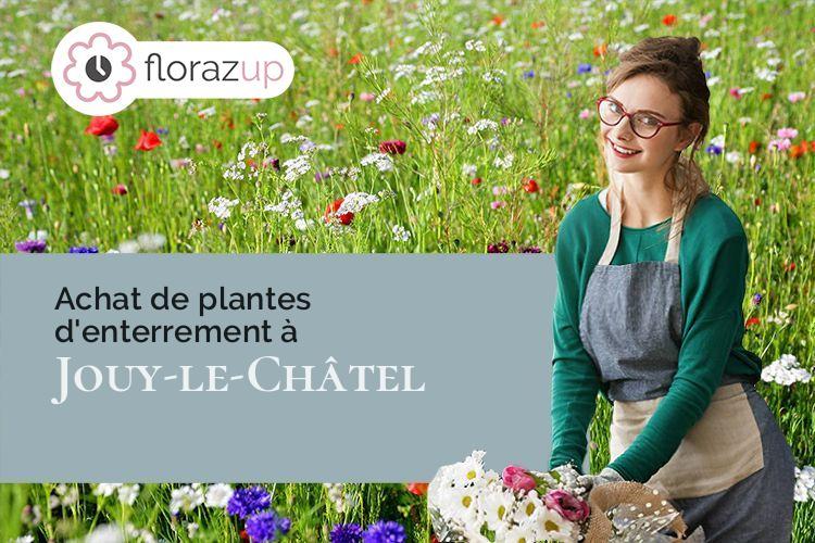 fleurs deuil pour une crémation à Jouy-le-Châtel (Seine-et-Marne/77970)