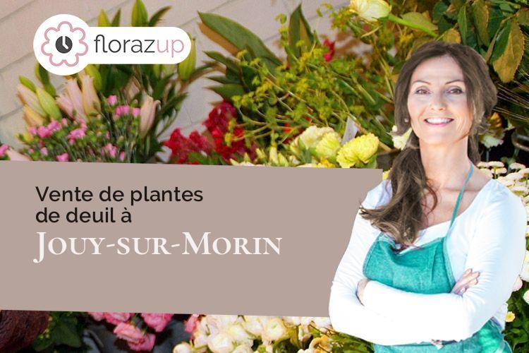plantes pour des obsèques à Jouy-sur-Morin (Seine-et-Marne/77320)