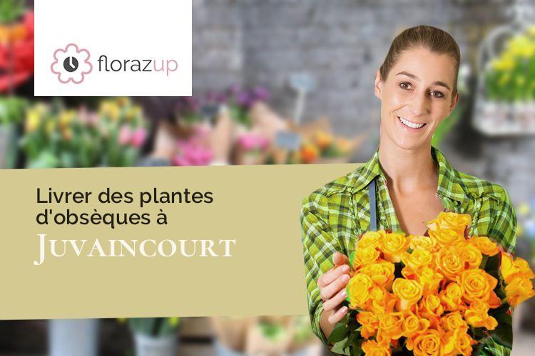 compositions de fleurs pour un décès à Juvaincourt (Vosges/88500)